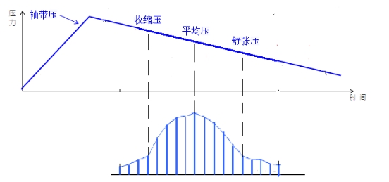 電子血壓計（示波法）注冊技術(shù)審查指導(dǎo)原則（2016年修訂版）（2016年第22號）(圖6)