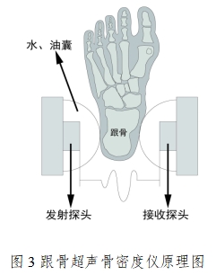 超聲骨密度儀注冊技術審查指導原則（2017年第180號）(圖3)