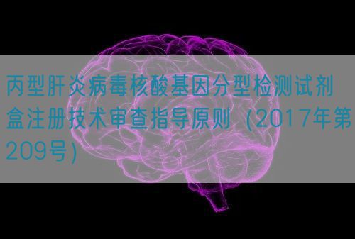 丙型肝炎病毒核酸基因分型檢測(cè)試劑盒注冊(cè)技術(shù)審查指導(dǎo)原則（2017年第209號(hào)）(圖1)