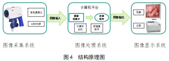 電子陰道顯微鏡注冊技術(shù)審查指導(dǎo)原則（2018年第15號）(圖3)