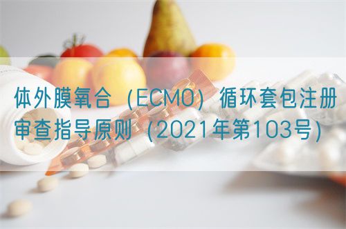 體外膜氧合（ECMO）循環(huán)套包注冊(cè)審查指導(dǎo)原則（2021年第103號(hào)）(圖1)