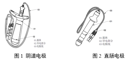 神經(jīng)和肌肉刺激器用體內(nèi)電極注冊(cè)審查指導(dǎo)原則（2024年第19號(hào)）(圖1)