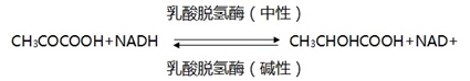 乳酸脫氫酶測(cè)定試劑盒注冊(cè)審查指導(dǎo)原則（2024年修訂版）（2024年第19號(hào)）(圖1)