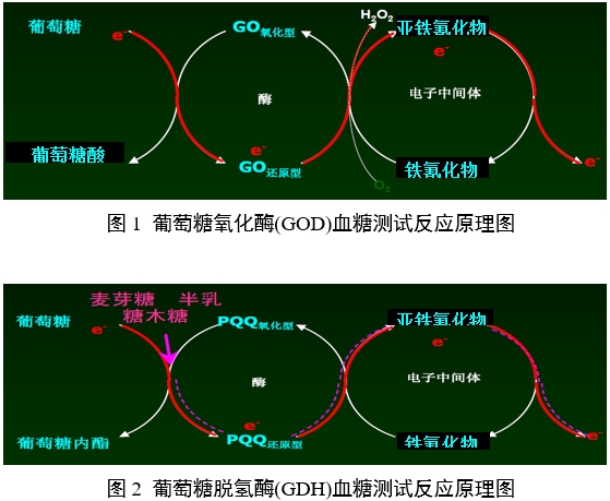 血糖儀注冊(cè)審查指導(dǎo)原則（2024年修訂版）（2024年第21號(hào)）(圖1)