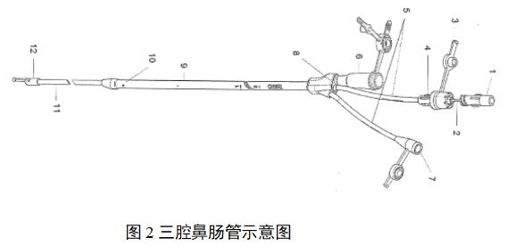 經(jīng)鼻腸營(yíng)養(yǎng)導(dǎo)管注冊(cè)審查指導(dǎo)原則（2022年第41號(hào)）(圖2)