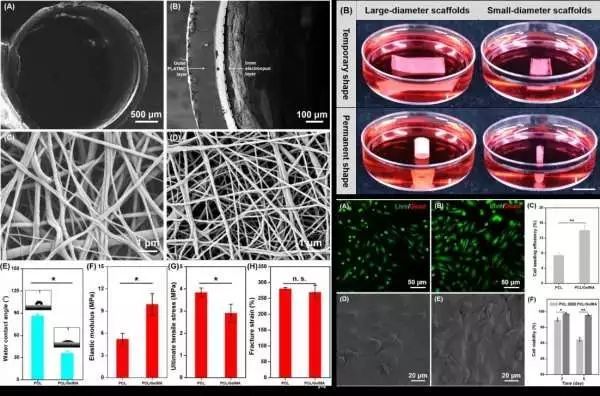 生物相容性是什么？如何準(zhǔn)備生物相容性檢測(cè)的樣品？(圖2)