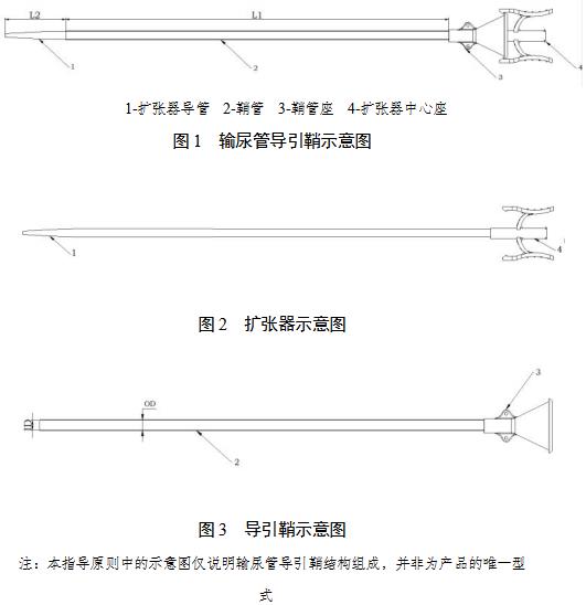 一次性使用輸尿管導(dǎo)引鞘注冊(cè)審查指導(dǎo)原則（2021年第102號(hào)）(圖2)