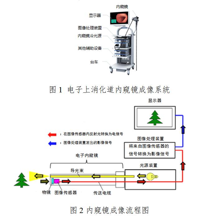 電子上消化道內(nèi)窺鏡注冊技術(shù)審查指導(dǎo)原則（2020年第87號）(圖2)