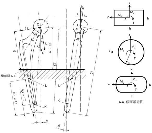 生物型股骨柄柄部疲勞性能評(píng)價(jià)指導(dǎo)原則（2020年第62號(hào)）(圖3)