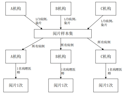 PD-L1檢測試劑臨床試驗(yàn)—結(jié)果重現(xiàn)性研究注冊審查指導(dǎo)原則（2022年第27號）(圖5)