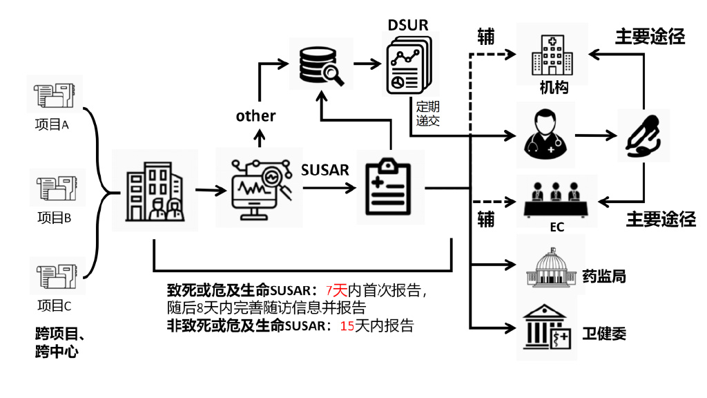 臨床試驗安全性事件如何上報？臨床試驗不良事件上報流程圖(圖3)